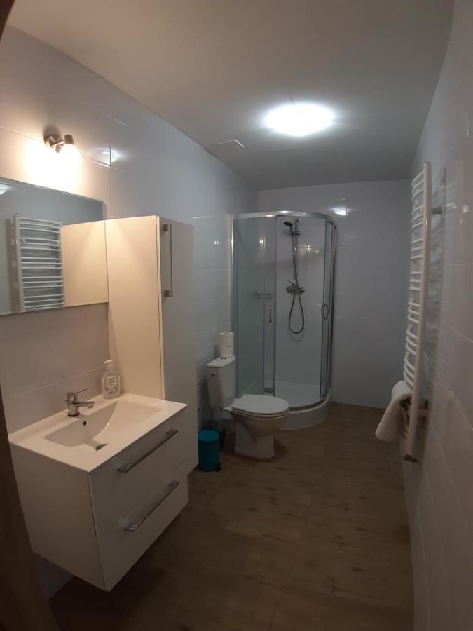 Проживание в семье Apartamenty Ślesin Слесин-13