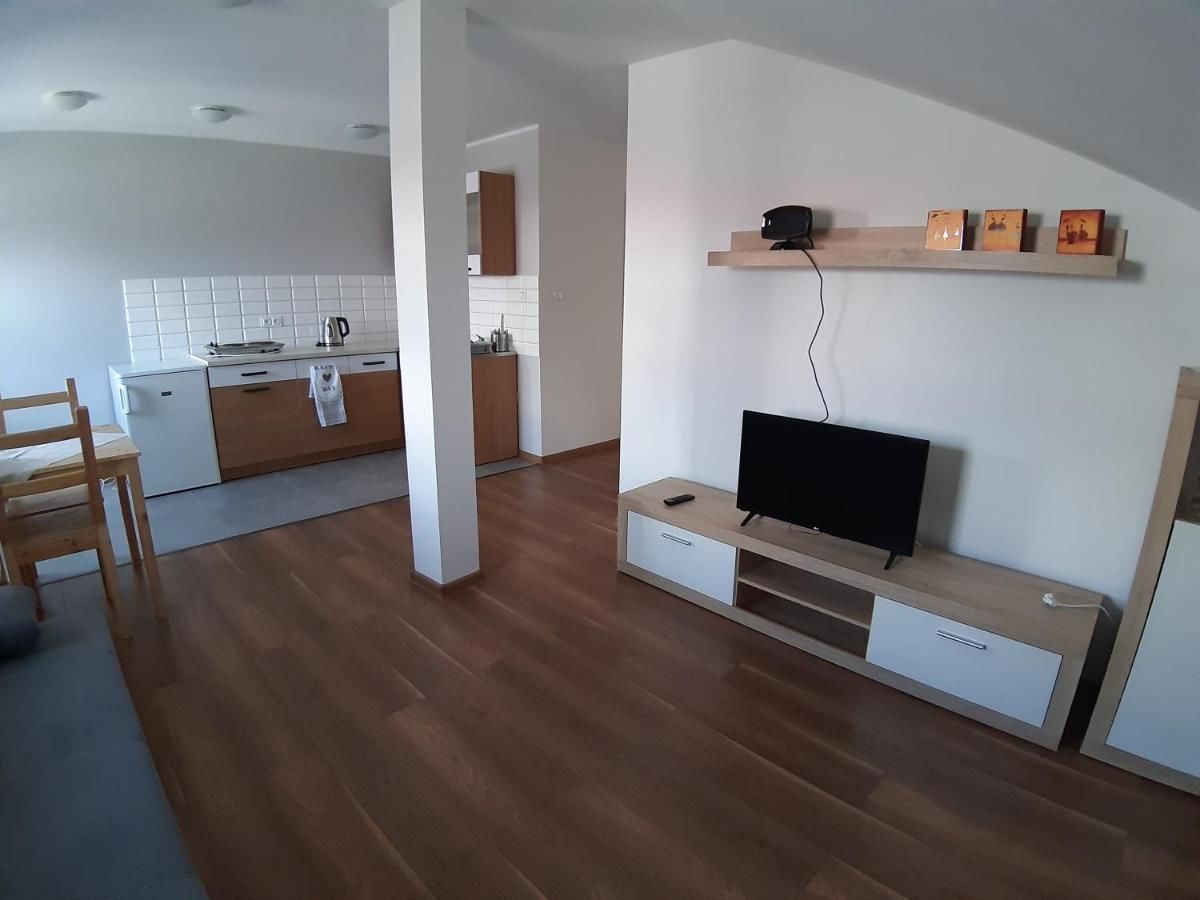 Проживание в семье Apartamenty Ślesin Слесин